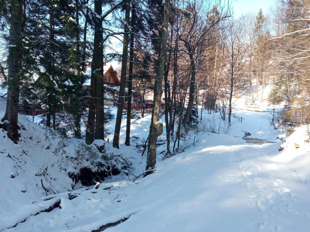 Przystanek Lesna Appartement Targanice Buitenkant foto