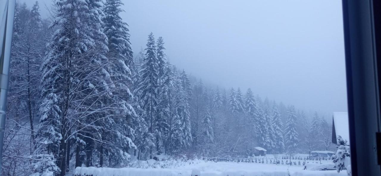 Przystanek Lesna Appartement Targanice Buitenkant foto