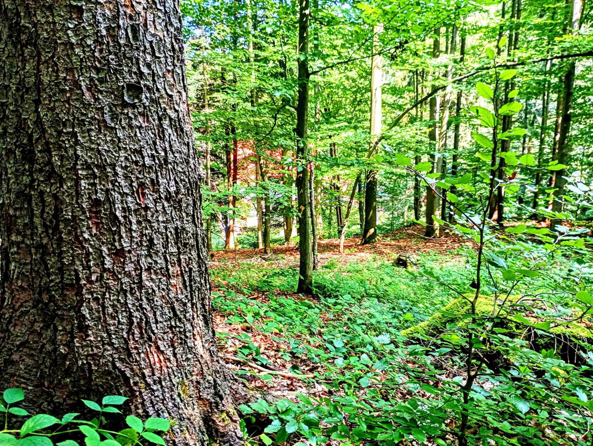 Przystanek Lesna Appartement Targanice Buitenkant foto